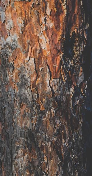 Træpiller 8 mm fyn: miljøvenligt og sundt opvarmningsvalg